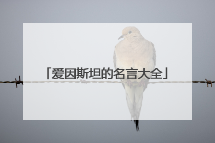 爱因斯坦的名言大全