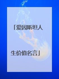 爱因斯坦人生价值名言