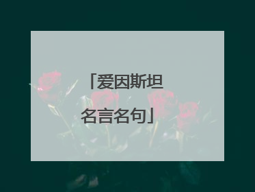 爱因斯坦名言名句