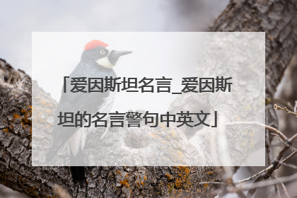 爱因斯坦名言_爱因斯坦的名言警句中英文