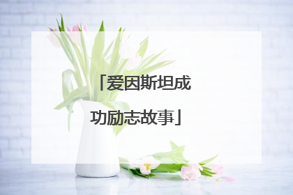 爱因斯坦成功励志故事