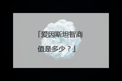 爱因斯坦智商值是多少?