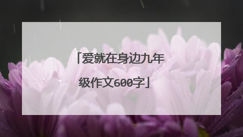 爱就在身边九年级作文600字