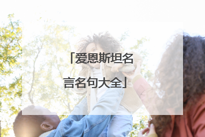 爱恩斯坦名言名句大全