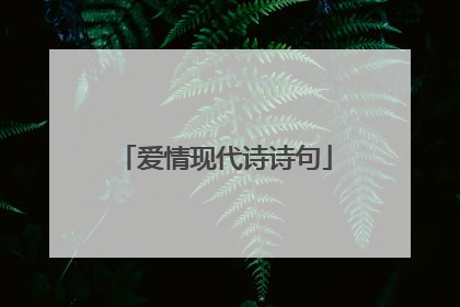 爱情现代诗诗句