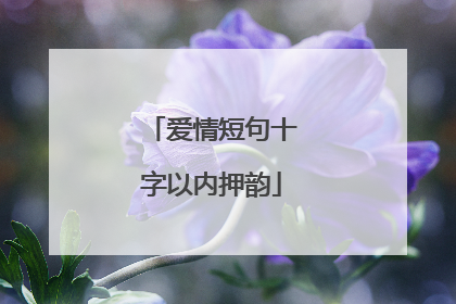 爱情短句十字以内押韵