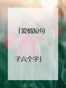 爱情短句子六个字
