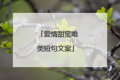 爱情甜蜜唯美短句文案
