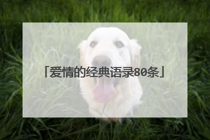 爱情的经典语录80条