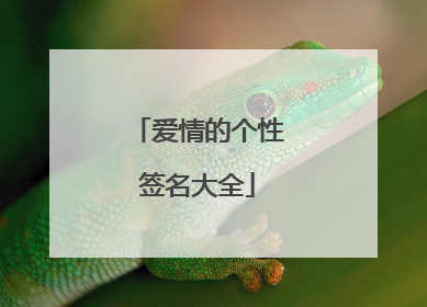 爱情的个性签名大全