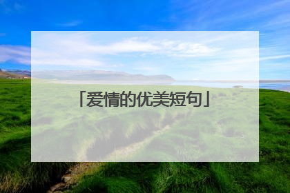 爱情的优美短句
