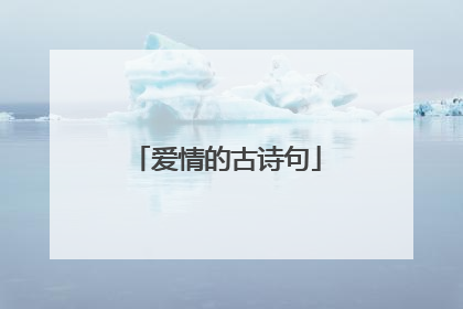 爱情的古诗句