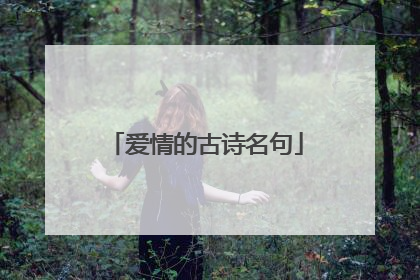 爱情的古诗名句