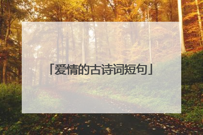 爱情的古诗词短句