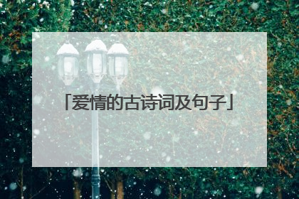 爱情的古诗词及句子