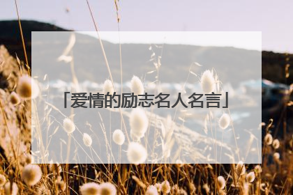 爱情的励志名人名言