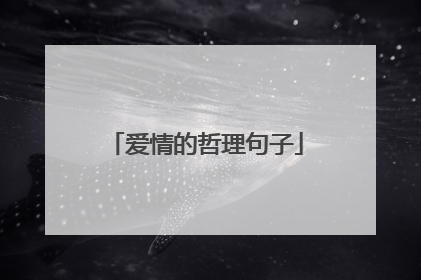爱情的哲理句子