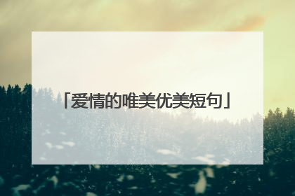 爱情的唯美优美短句