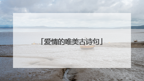 爱情的唯美古诗句