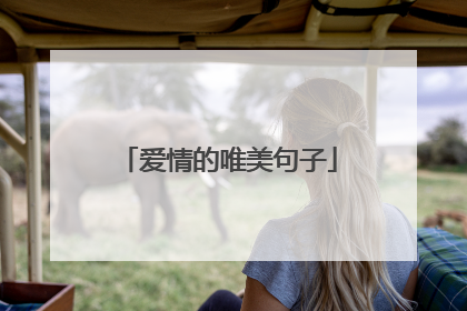 爱情的唯美句子