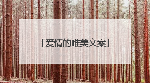 爱情的唯美文案