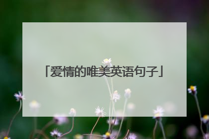 爱情的唯美英语句子