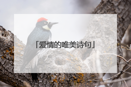 爱情的唯美诗句