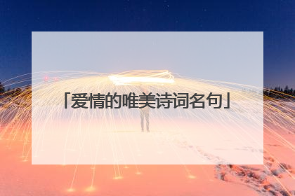 爱情的唯美诗词名句