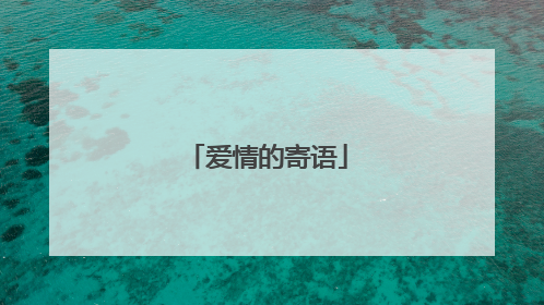 爱情的寄语
