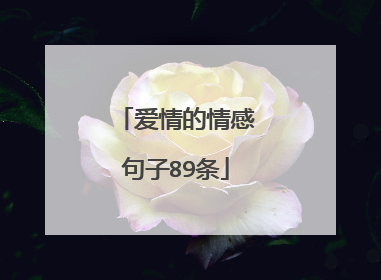 爱情的情感句子89条