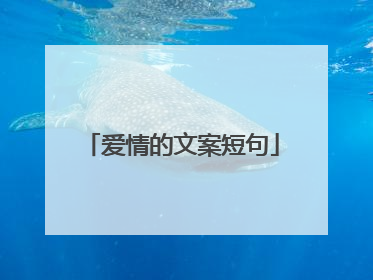 爱情的文案短句