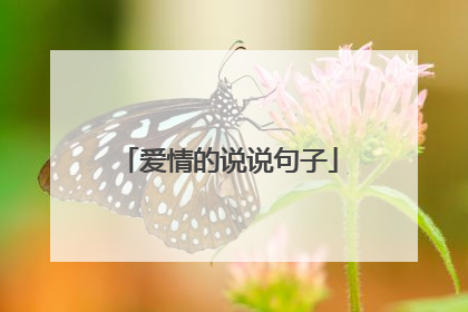 爱情的说说句子