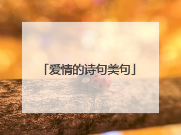 爱情的诗句美句