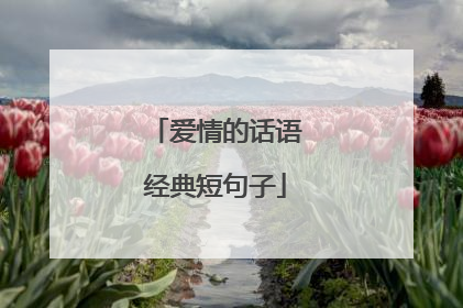 爱情的话语经典短句子