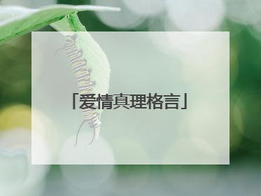 爱情真理格言