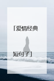 爱情经典短句子
