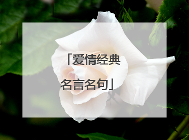 爱情经典名言名句