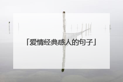 爱情经典感人的句子