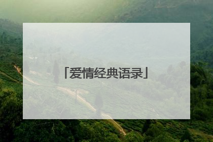 爱情经典语录