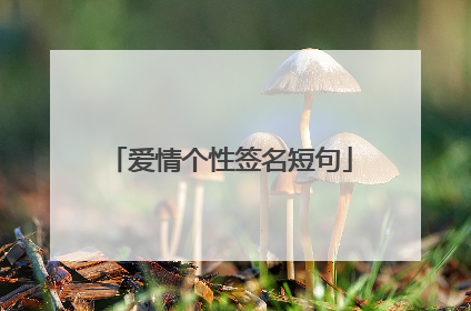 爱情个性签名短句