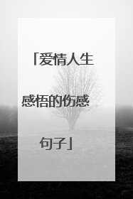 爱情人生感悟的伤感句子