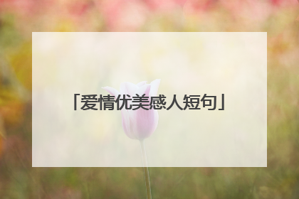爱情优美感人短句