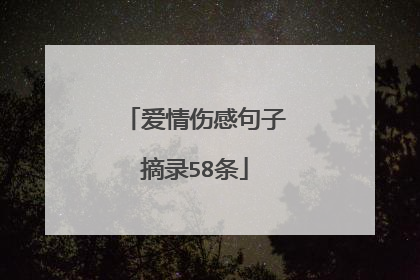爱情伤感句子摘录58条