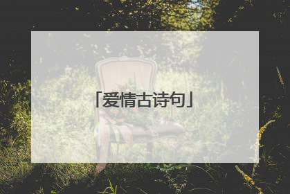 爱情古诗句