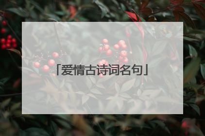 爱情古诗词名句