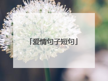 爱情句子短句