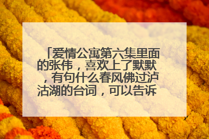 爱情公寓第六集里面的张伟，喜欢上了默默，有句什么春风佛过泸沽湖的台词，可以告诉我完整的吗？