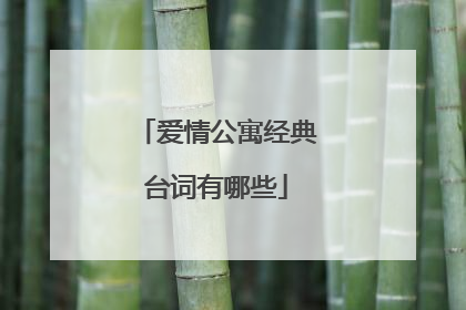 爱情公寓经典台词有哪些