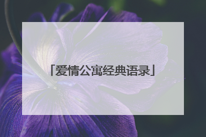 爱情公寓经典语录