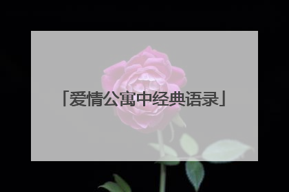 爱情公寓中经典语录
